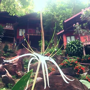 Hill Resort Ko Phi Phi